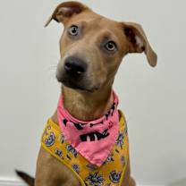 Thumbnail photo of Marsella #1