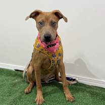 Thumbnail photo of Marsella #2