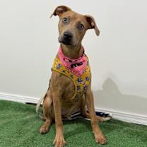 Thumbnail photo of Marsella #3