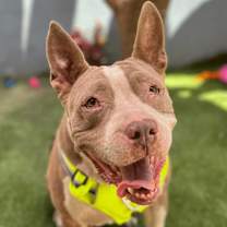 Thumbnail photo of Momma Bear #1