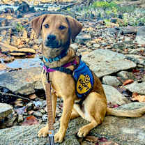 Thumbnail photo of Jasper #2