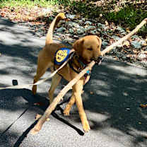 Thumbnail photo of Jasper #4