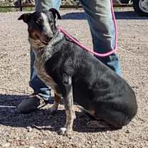 Thumbnail photo of Annagret #2