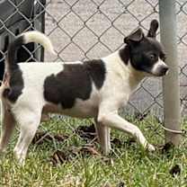 Thumbnail photo of Fred #2