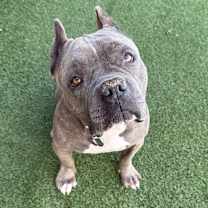 Thumbnail photo of Maude #1