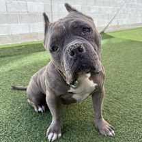 Thumbnail photo of Maude #2