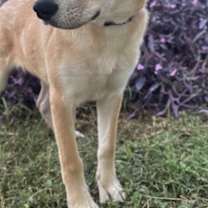 Thumbnail photo of Jackie #3