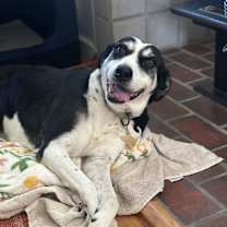 Thumbnail photo of ELLIE #1