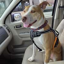 Thumbnail photo of Ted #3