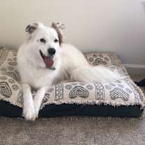 Thumbnail photo of Arlo #2