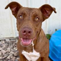 Thumbnail photo of Candie #1