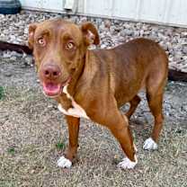 Thumbnail photo of Candie #2