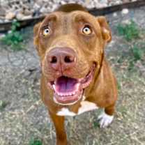 Thumbnail photo of Candie #3