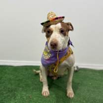 Thumbnail photo of September #4