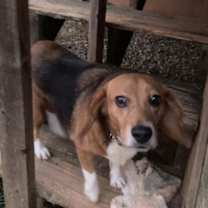 Thumbnail photo of Minnie #1