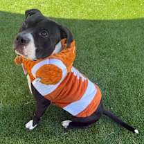 Thumbnail photo of Scrabble #3