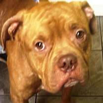 Thumbnail photo of Drake #1