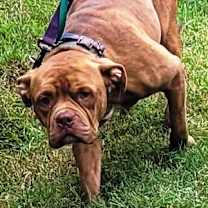 Thumbnail photo of Drake #2