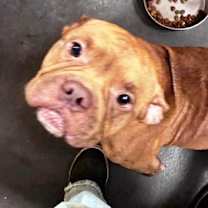 Thumbnail photo of Drake #3