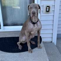 Thumbnail photo of Tucker #1