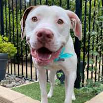 Thumbnail photo of Josh #4