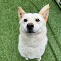 Thumbnail photo of Nari #3