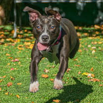 Thumbnail photo of Tina #3