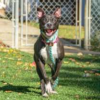 Thumbnail photo of Tina #4