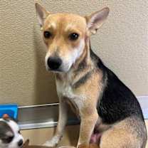 Thumbnail photo of Princess #1