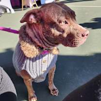 Thumbnail photo of Reba #2