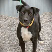 Thumbnail photo of Darla #1