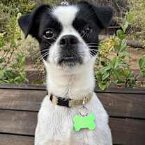 Thumbnail photo of Jimmy #2