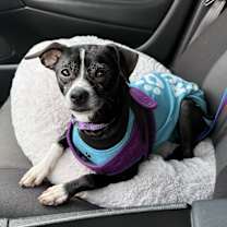 Thumbnail photo of Lil Richie #1