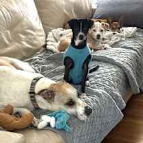 Thumbnail photo of Lil Richie #4