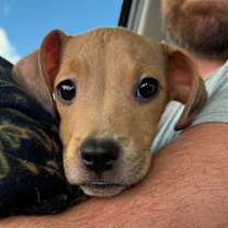 Thumbnail photo of Autumn #1