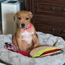 Thumbnail photo of Autumn #3