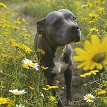 Thumbnail photo of Keyla #1