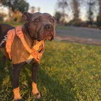 Thumbnail photo of Keyla #2