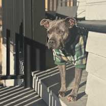 Thumbnail photo of Keyla #3