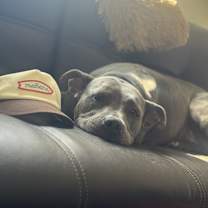 Thumbnail photo of Keyla #4