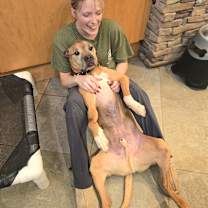 Thumbnail photo of Diesel #4