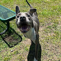 Thumbnail photo of Kona #3