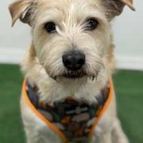 Thumbnail photo of Pablito #1