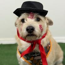 Thumbnail photo of Pablito #2