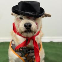 Thumbnail photo of Pablito #4