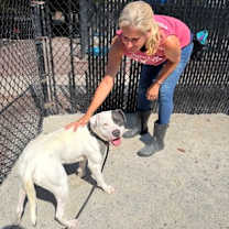 Thumbnail photo of Beavis #2