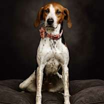 Thumbnail photo of Mika #2