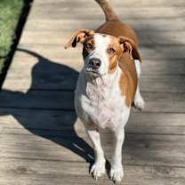 Thumbnail photo of Dane  #1