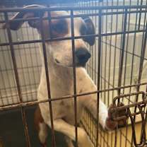 Thumbnail photo of Dane  #2