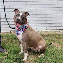 Thumbnail photo of Keeylolo #2